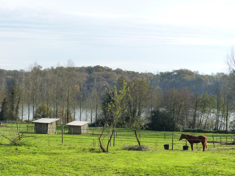 Silver Lake Gîte, Cazères-sur-l'Adour - photo 4