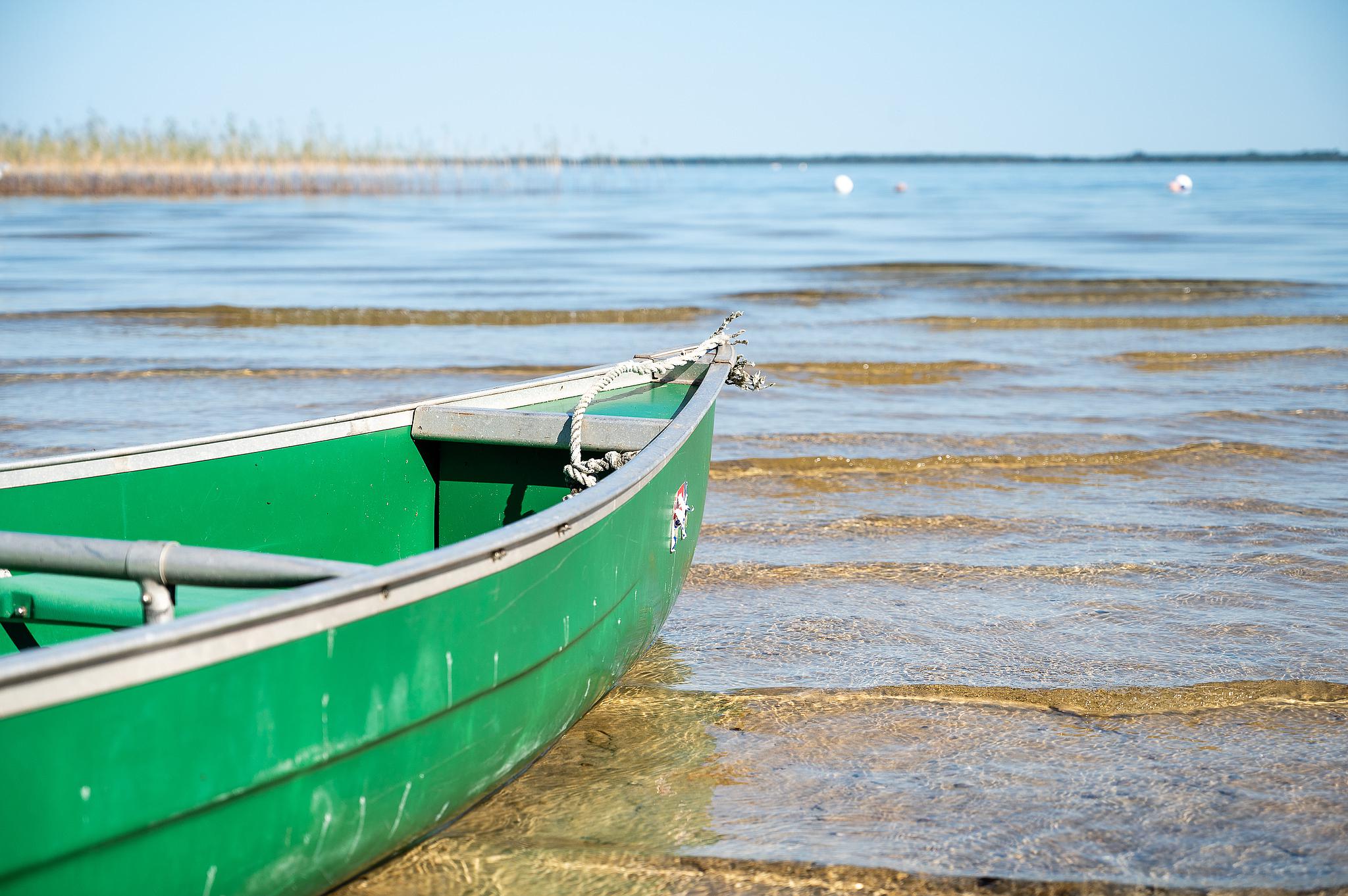 Villa avec piscine et vue sur le lac, Biscarrosse - photo 12