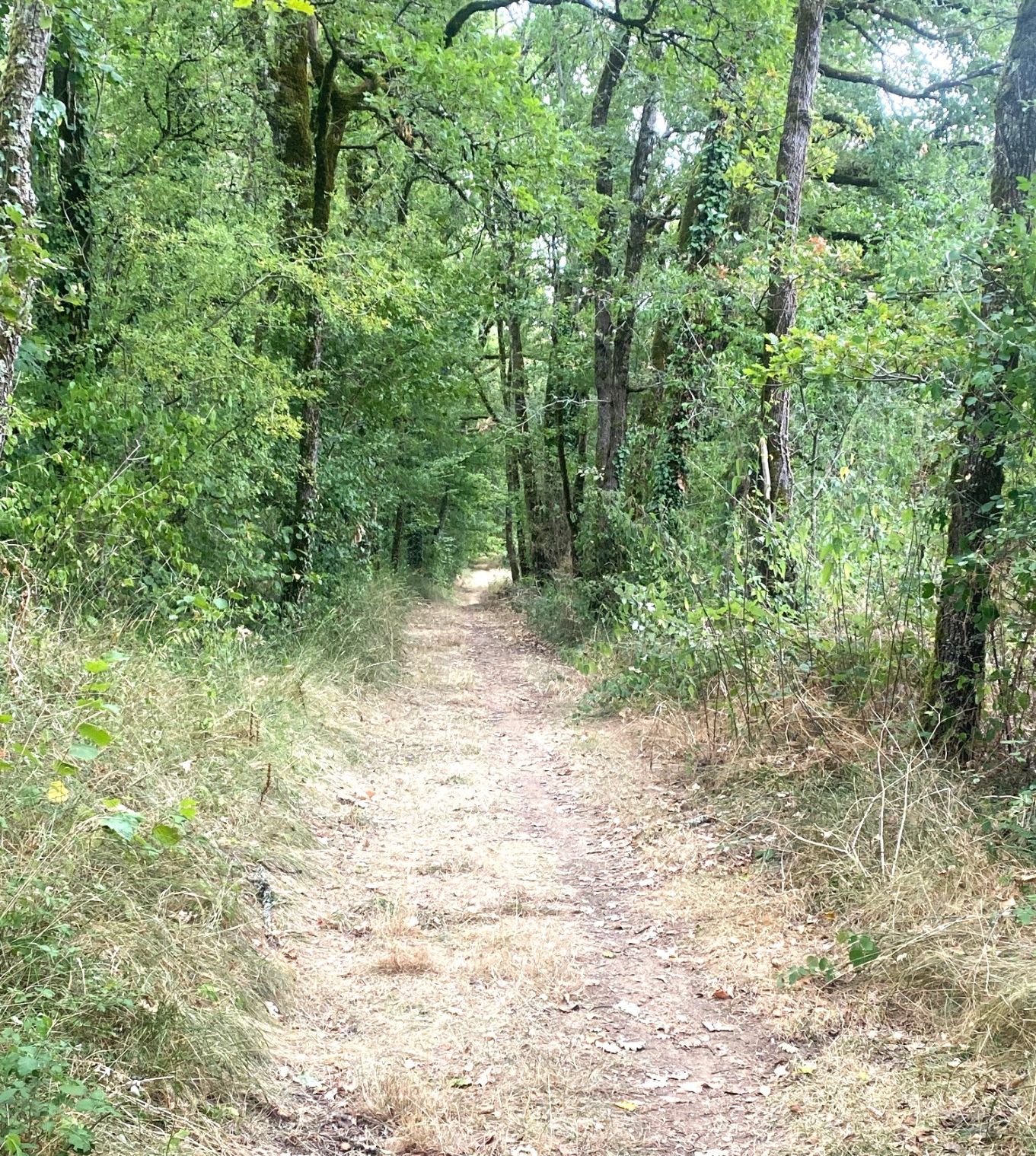 Boucle des Puits, Sorges et Ligueux en Périgord