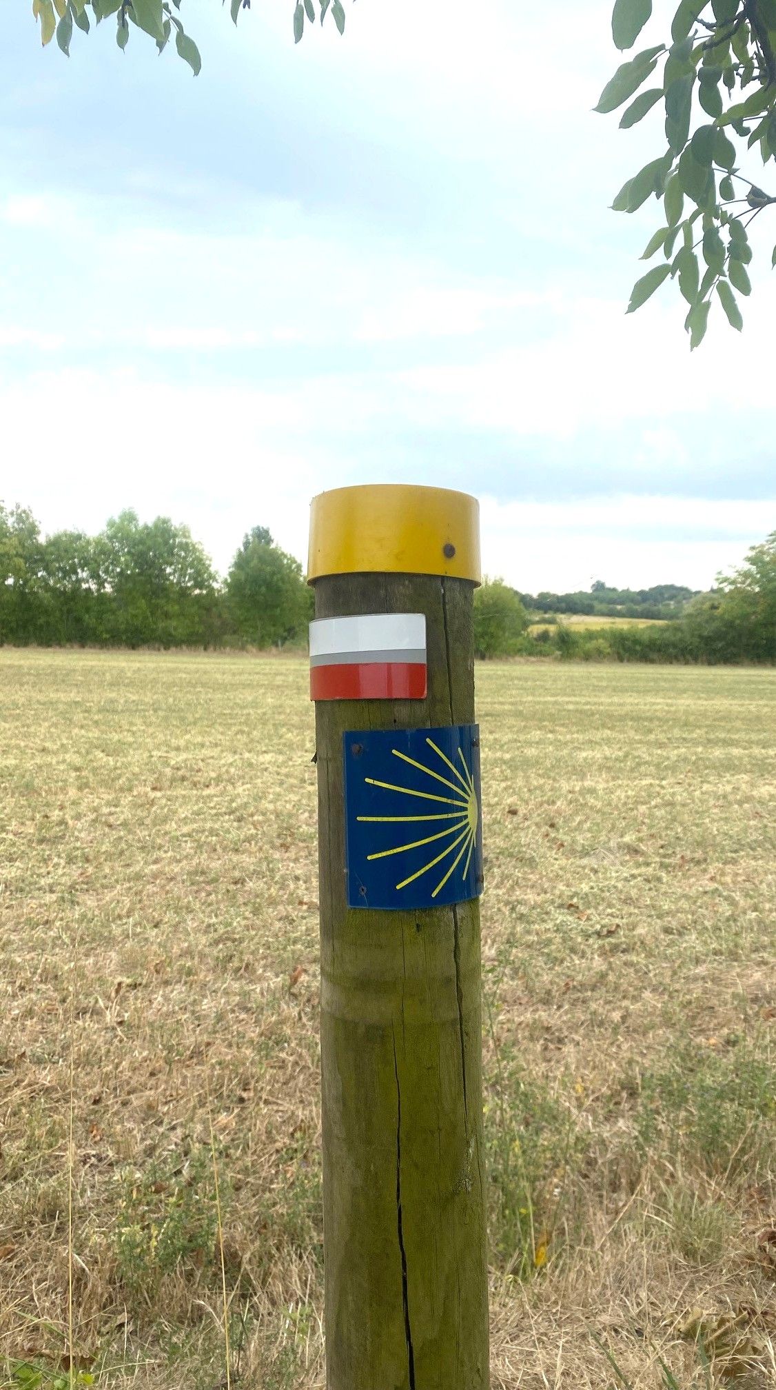 Boucle des Chateaux, Sorges et Ligueux en Périgord - photo 3
