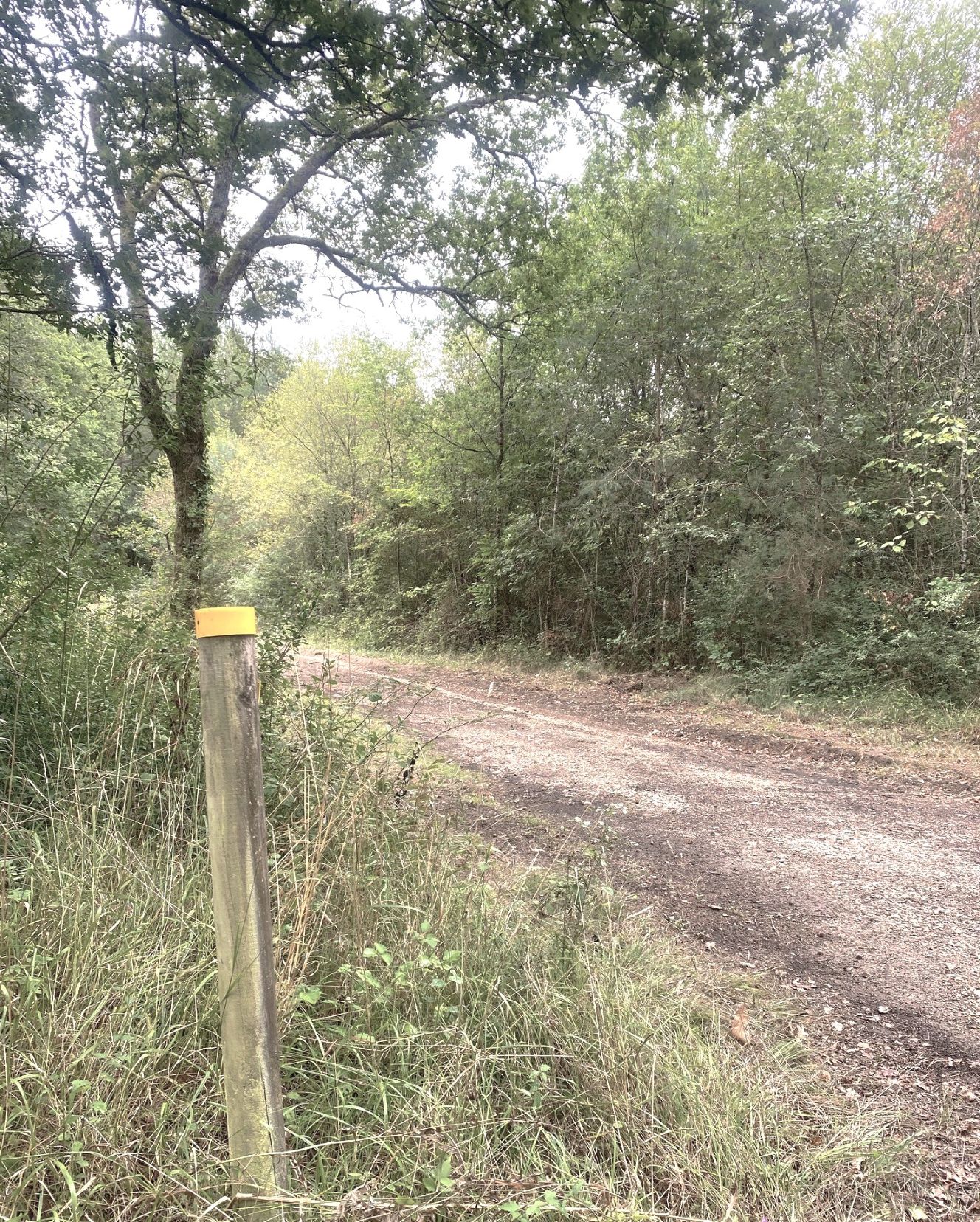 Boucle de Soudat, Soudat - photo 3