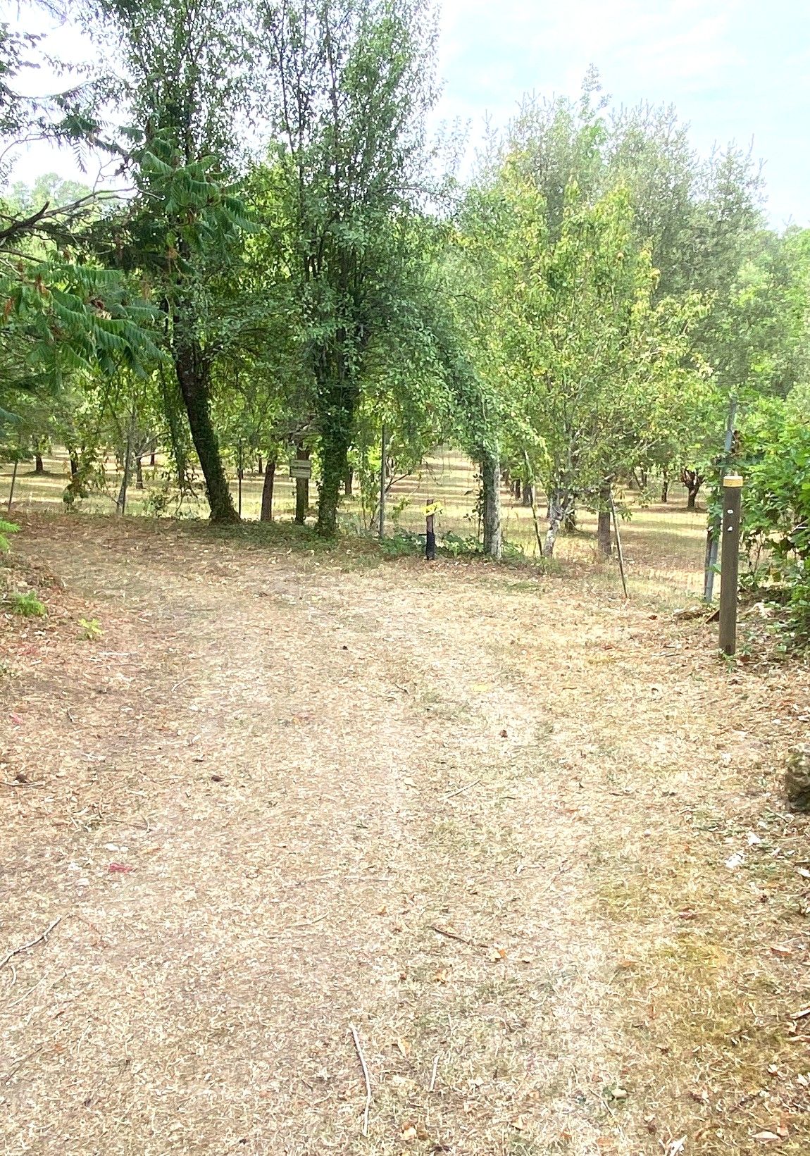 Boucle de la patte de chien - photo 2