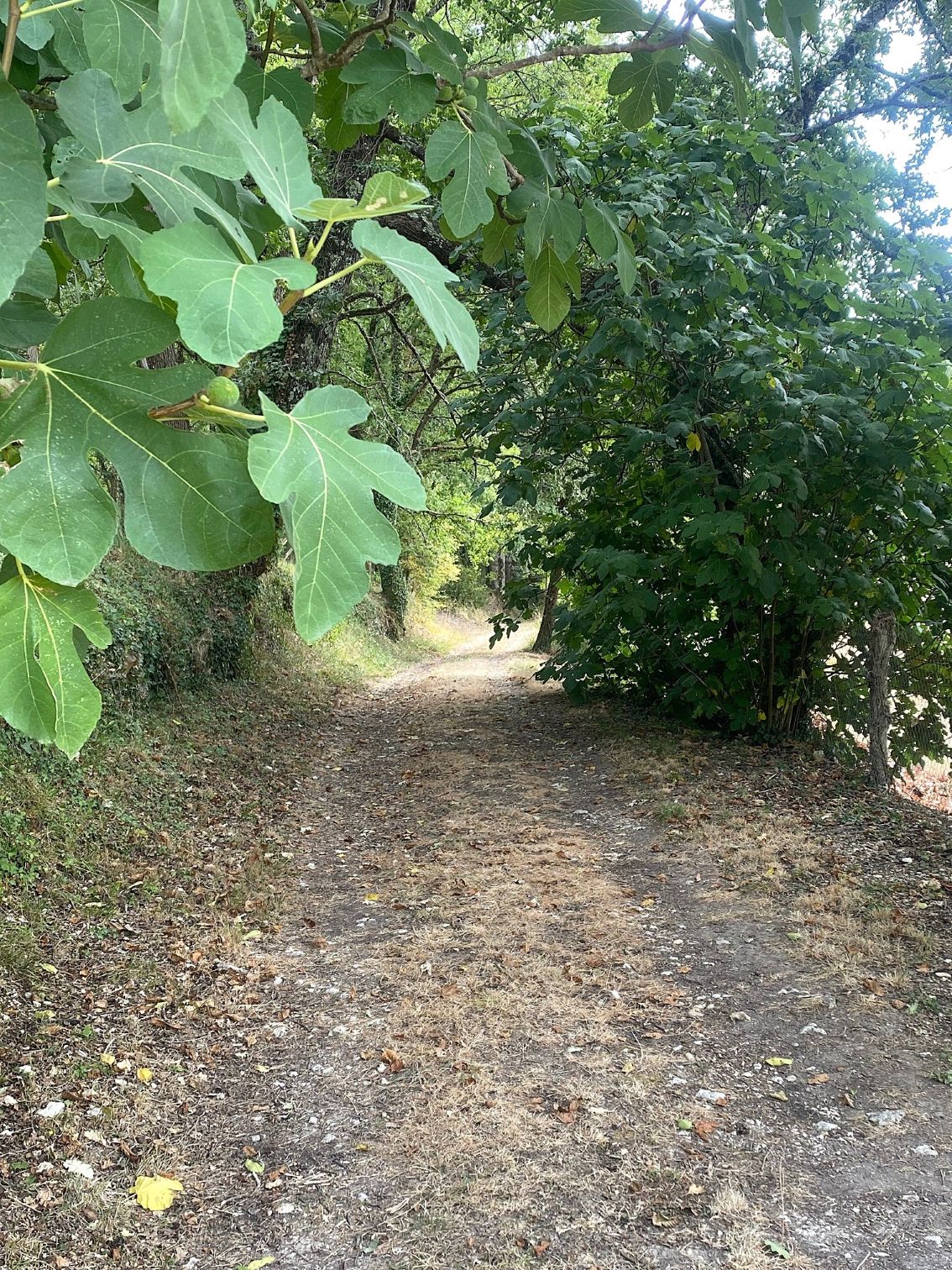 Boucle des trois fontaines - photo 4