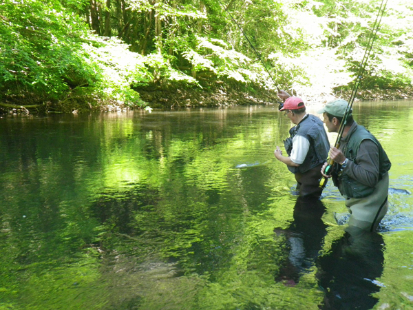 Maison de l'Eau et de la Pêche de la Corrèze, Neuvic - photo 6