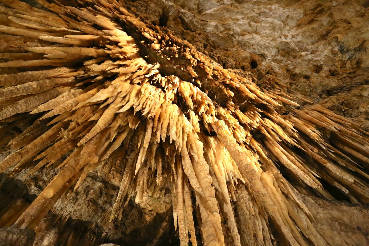 Gouffre de Proumeyssac, Audrix - photo 7