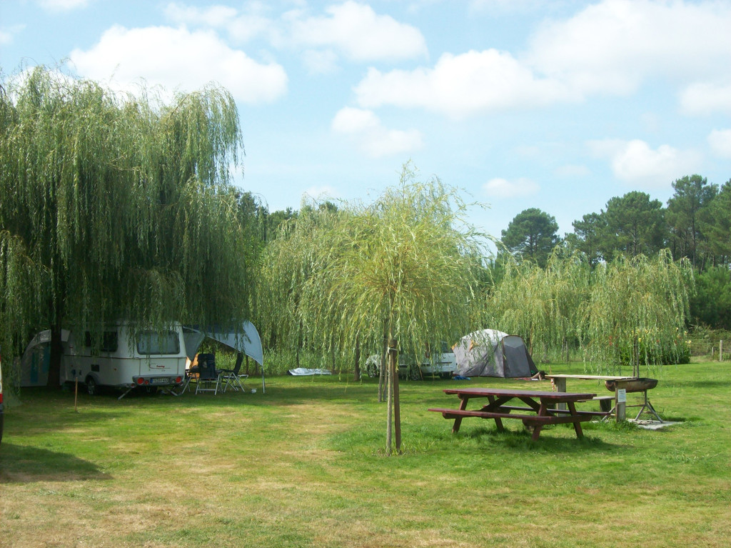 Camping Piou de Pelle, Saint-Julien-en-Born - photo 7