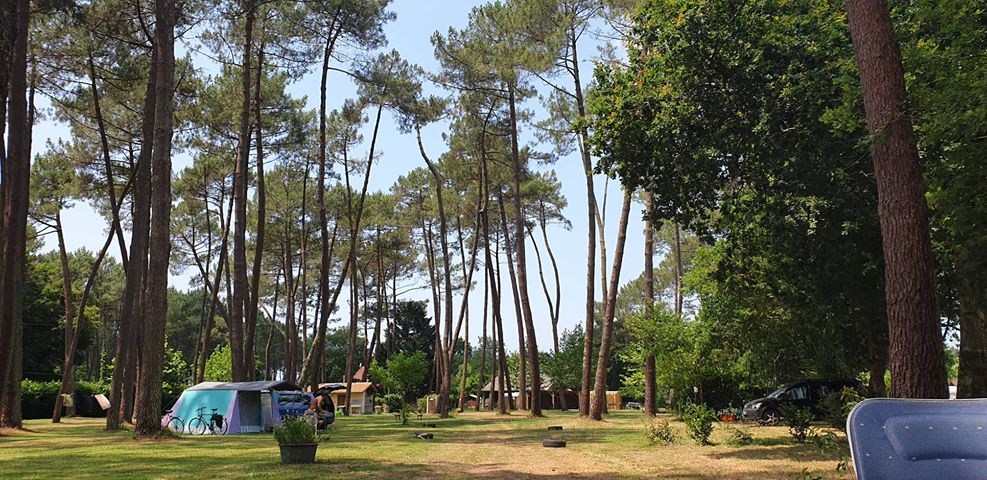 Camping Le Pont Noir, Saint-Julien-en-Born - photo 8