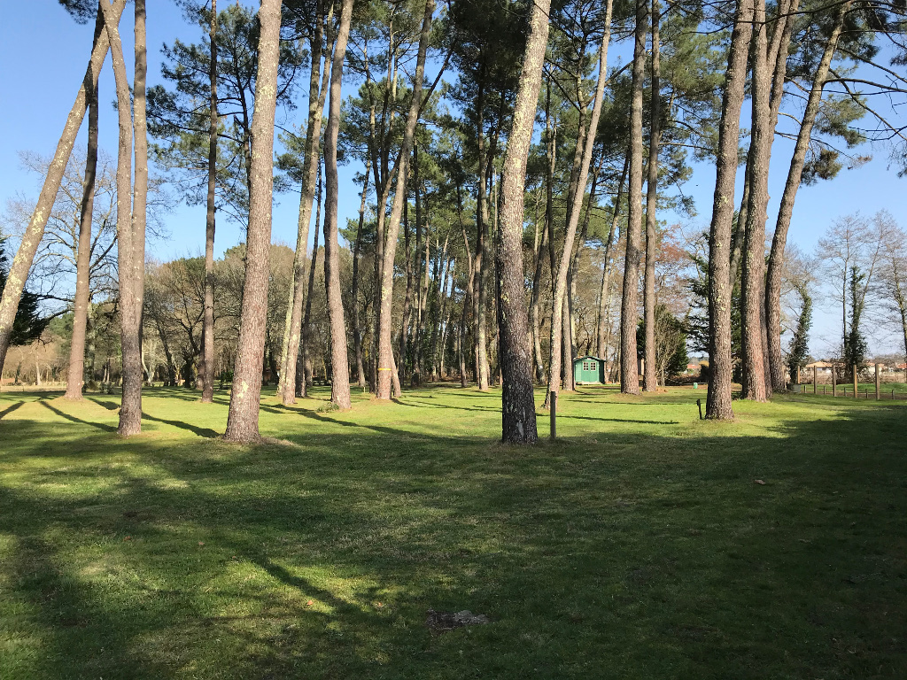 Camping Le Pont Noir, Saint-Julien-en-Born - photo 6