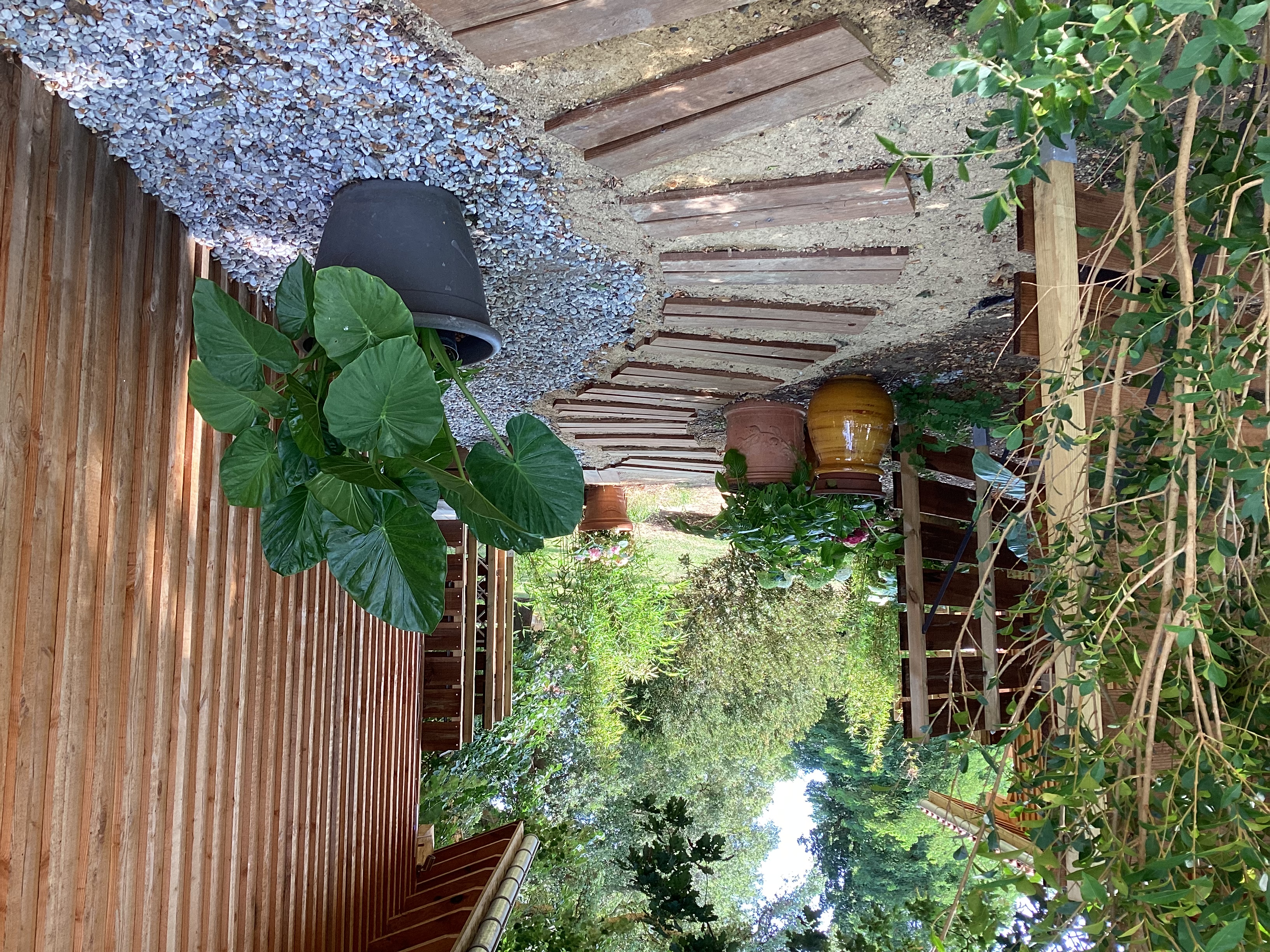 Chalet Hosta