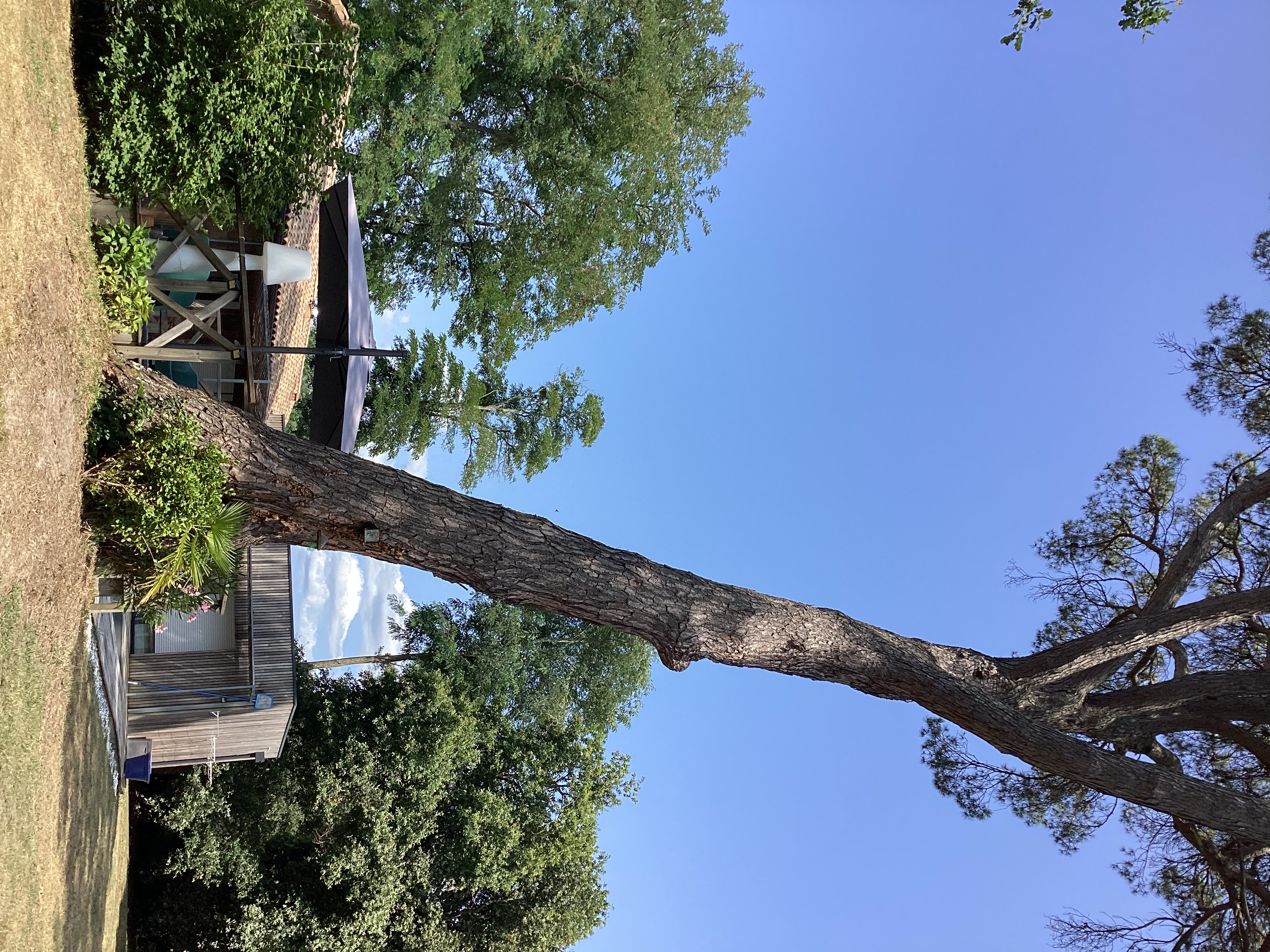 Maison Tipasa, Saint-Julien-en-Born - photo 10