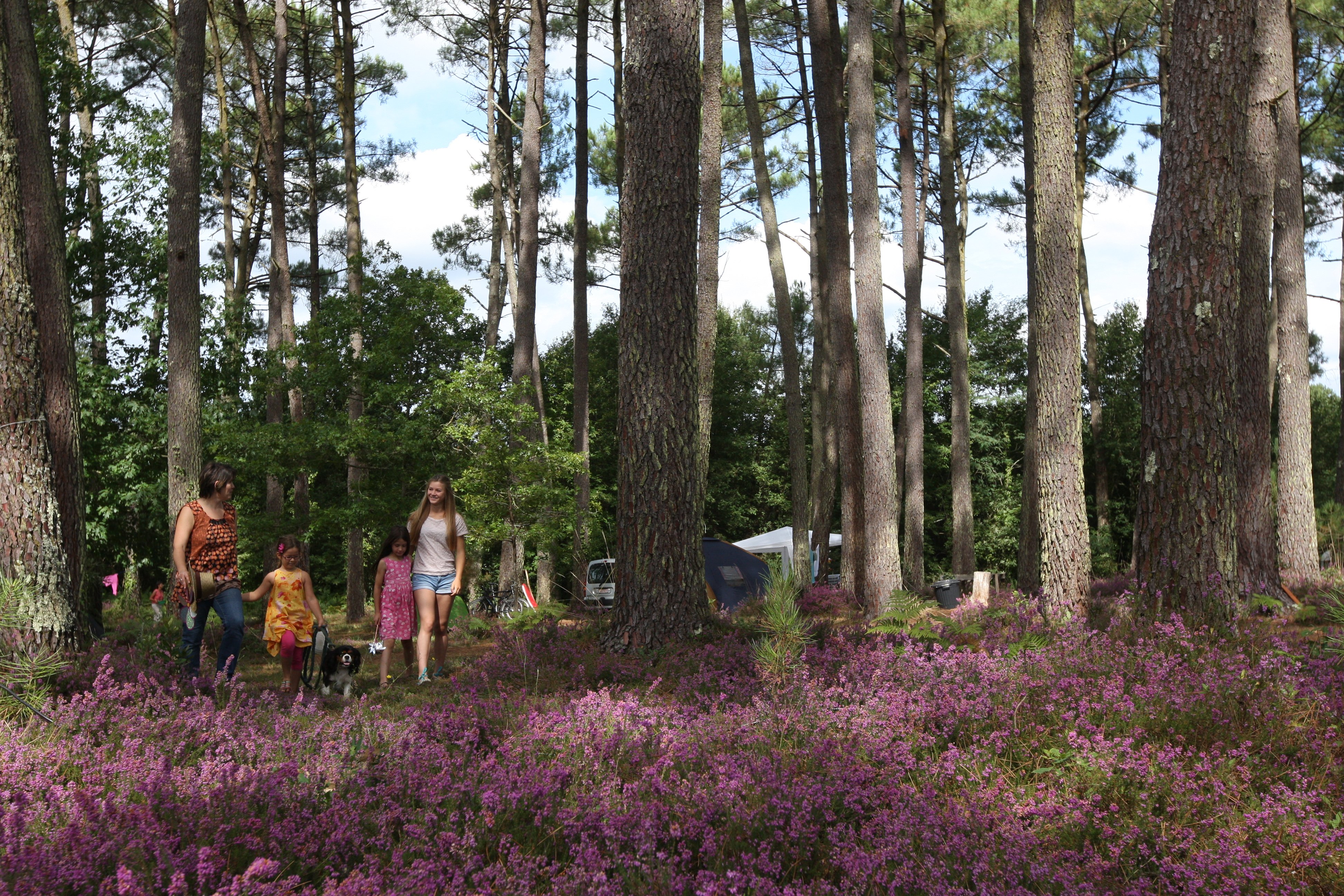 Aire naturelle La Téouleyre - photo 2