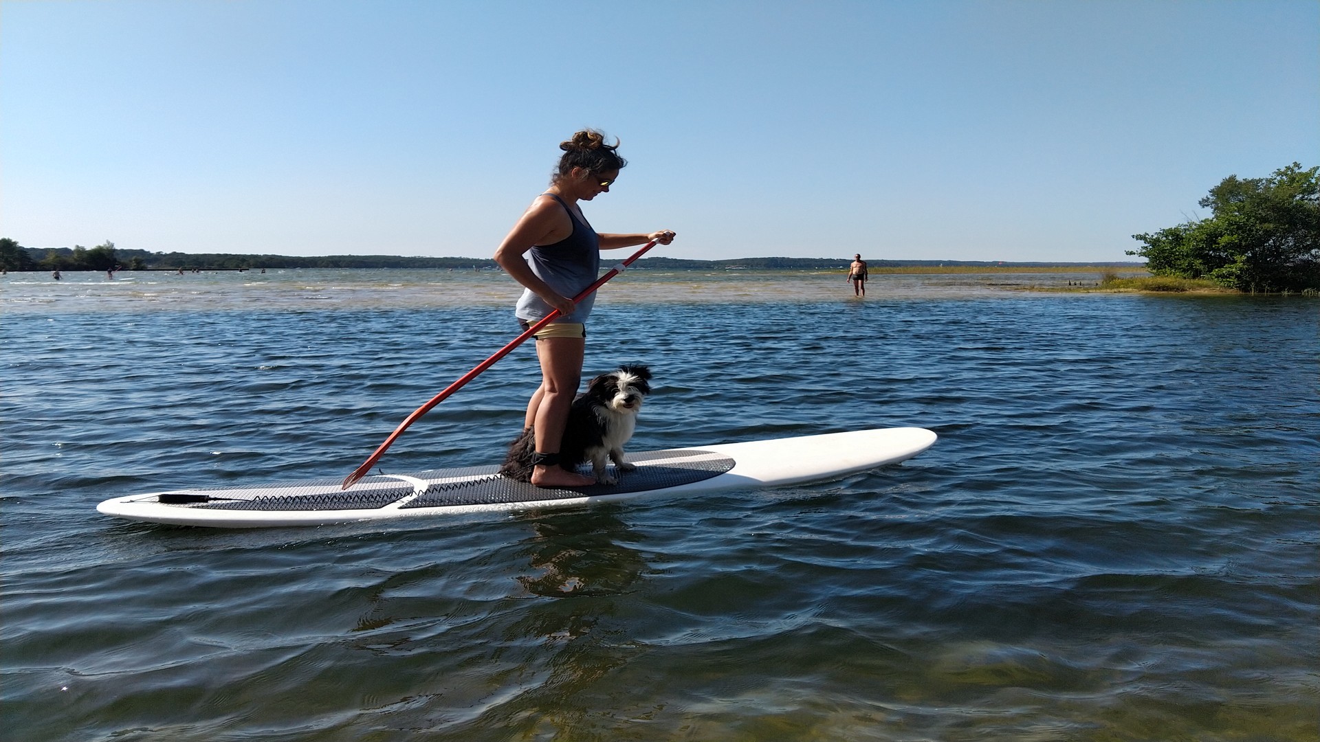 Location stand up paddle, canoë et pédalo - SUP'R - photo 2