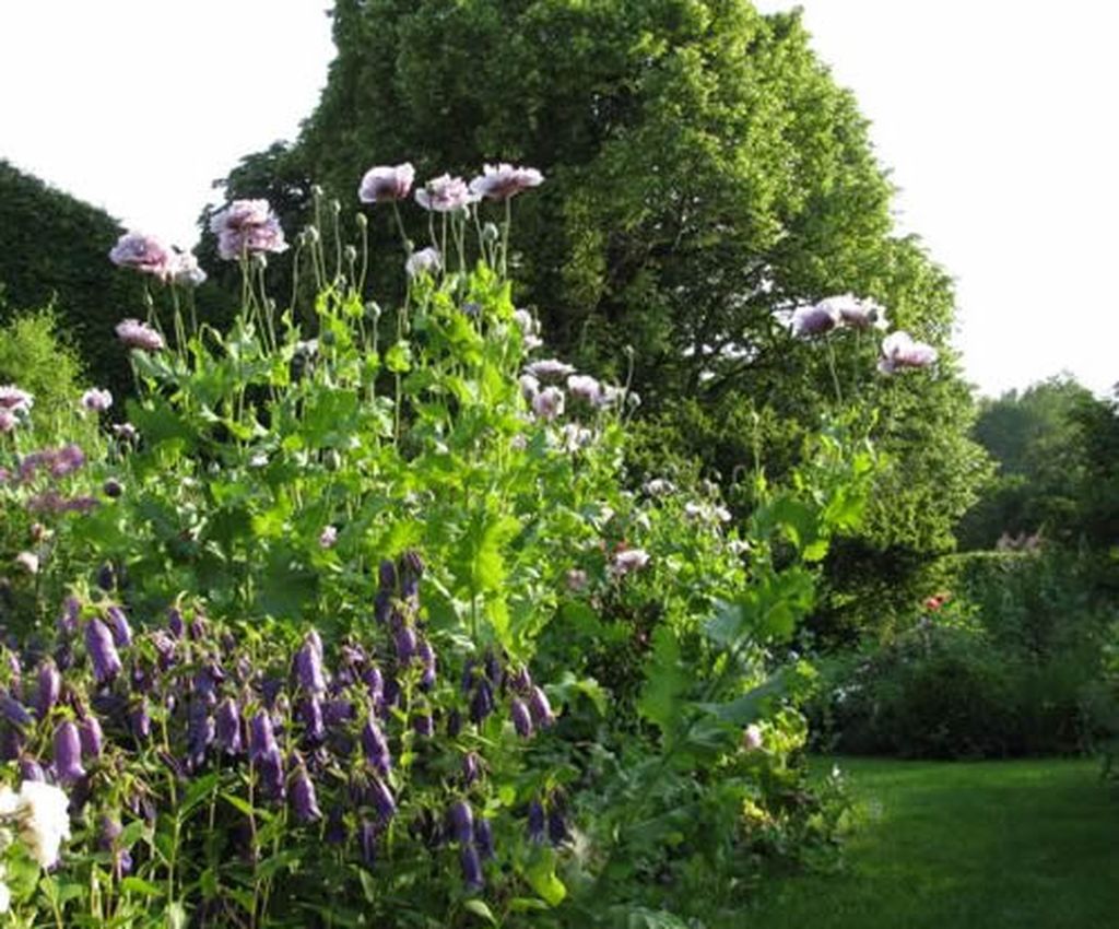 RDV aux Jardins