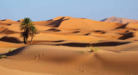 Contes et légendes du Sahara
