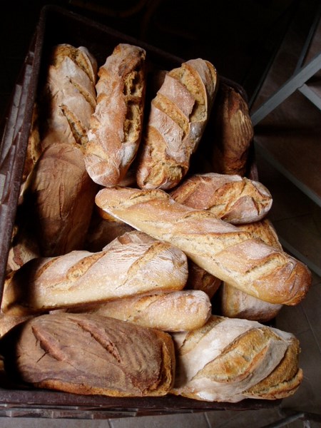 Ferme biologique de Crozefond