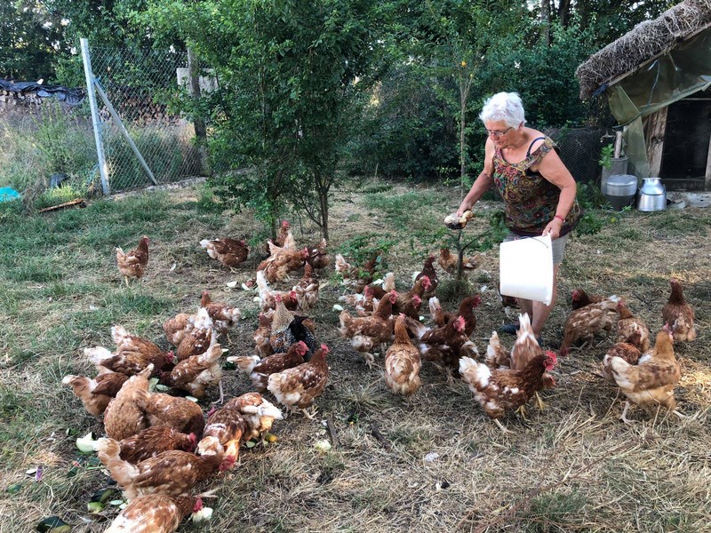 Ferme Bio de Crozefond, Saint-Aubin - photo 6