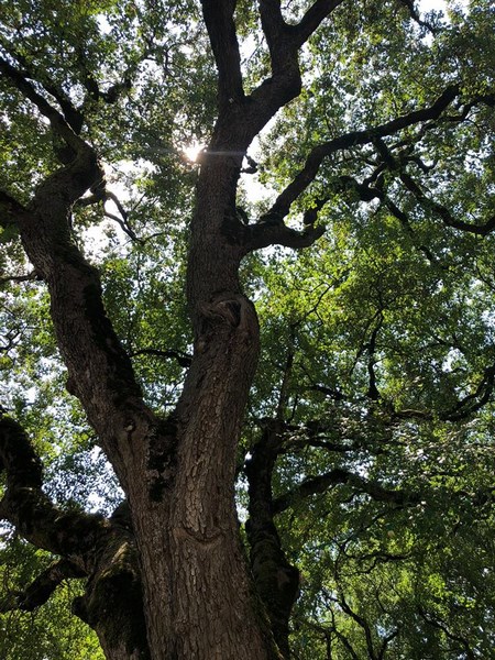 Ferme Bio de Crozefond, Saint-Aubin - photo 7