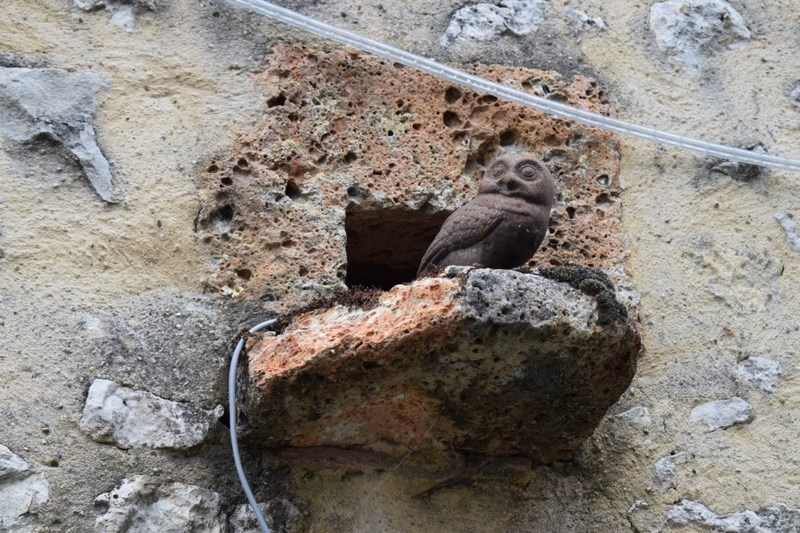 Ferme Bio de Crozefond, Saint-Aubin - photo 3