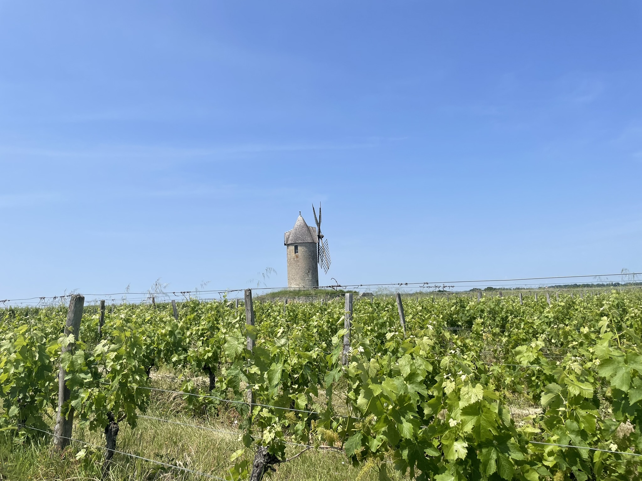 De Branne à Blasimon, Branne - photo 3