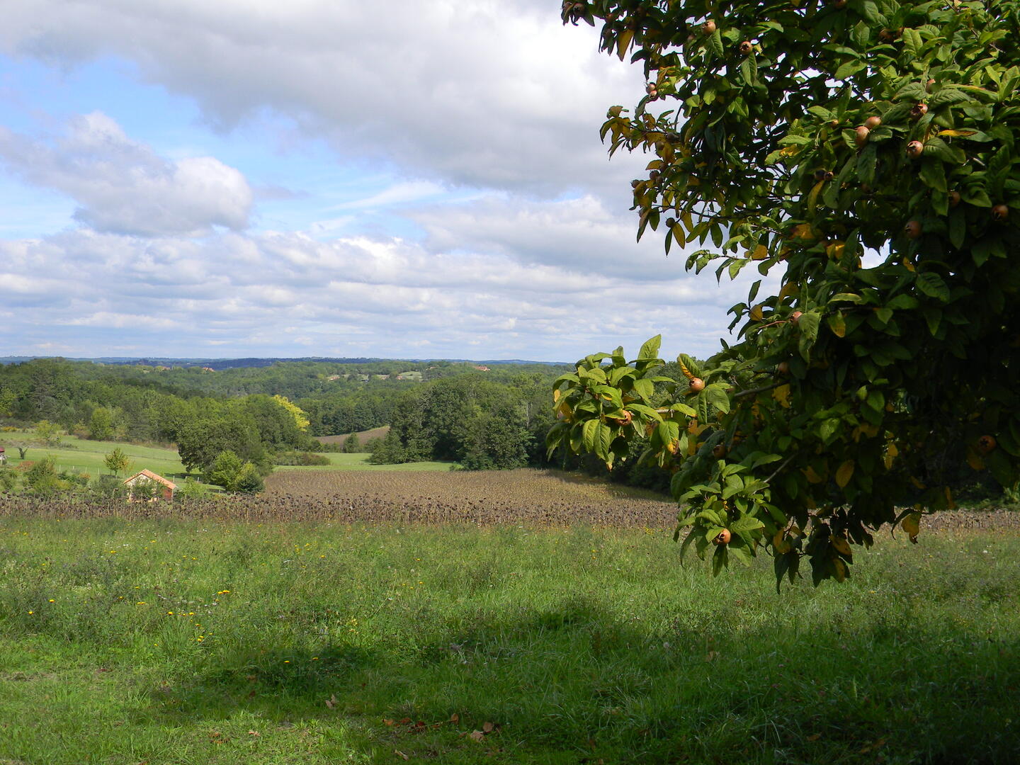 Boucle de Pech Melou n°2 / Saint-Chamassy, Saint-Chamassy - photo 3