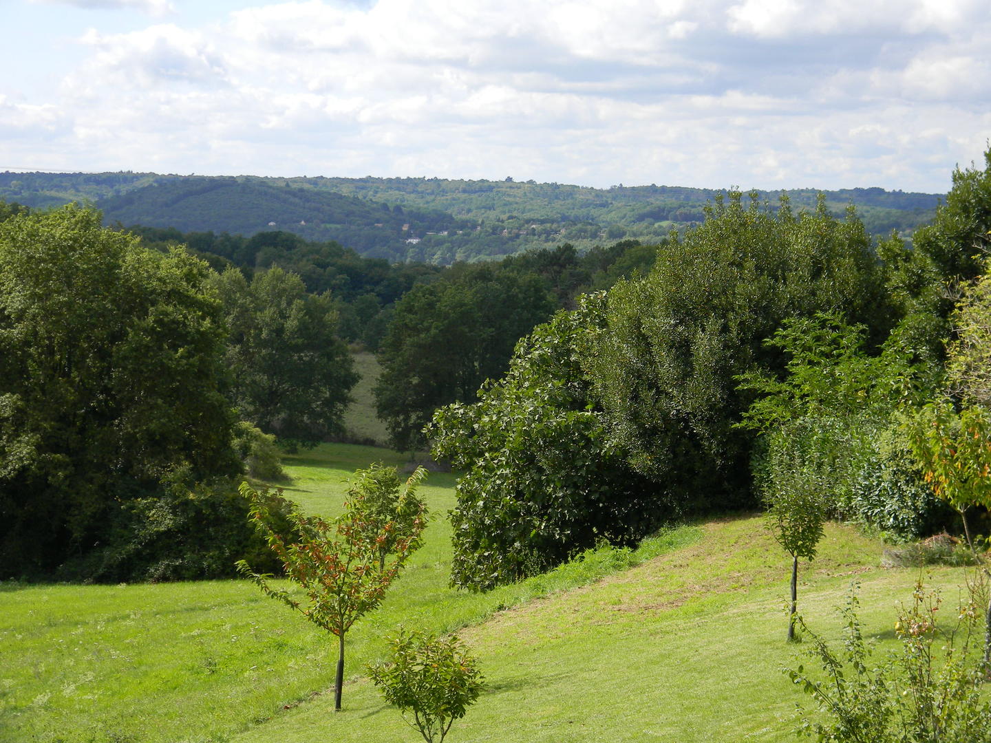 Boucle du Dolmen n°1/Saint-Chamassy, Saint-Chamassy - photo 2