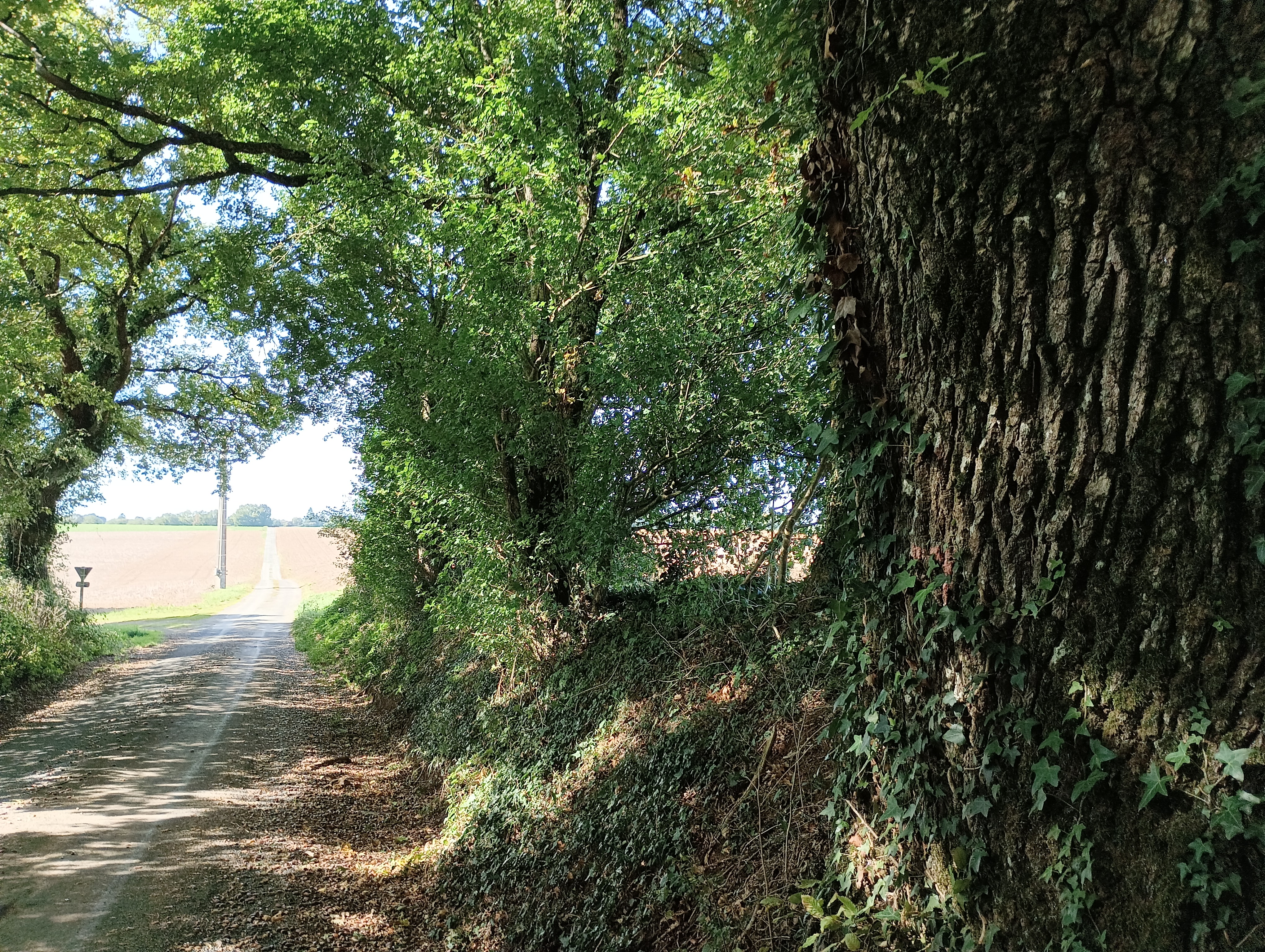 Saint-Coutant-nord - Saint-Coutant, Saint-Coutant - photo 4