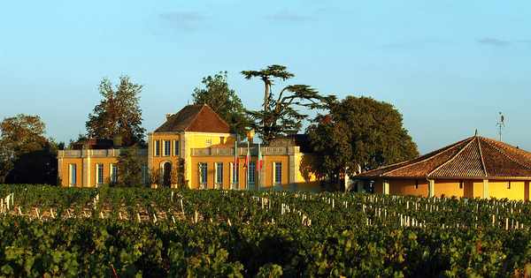 Château Lafon-Rochet — photo 3