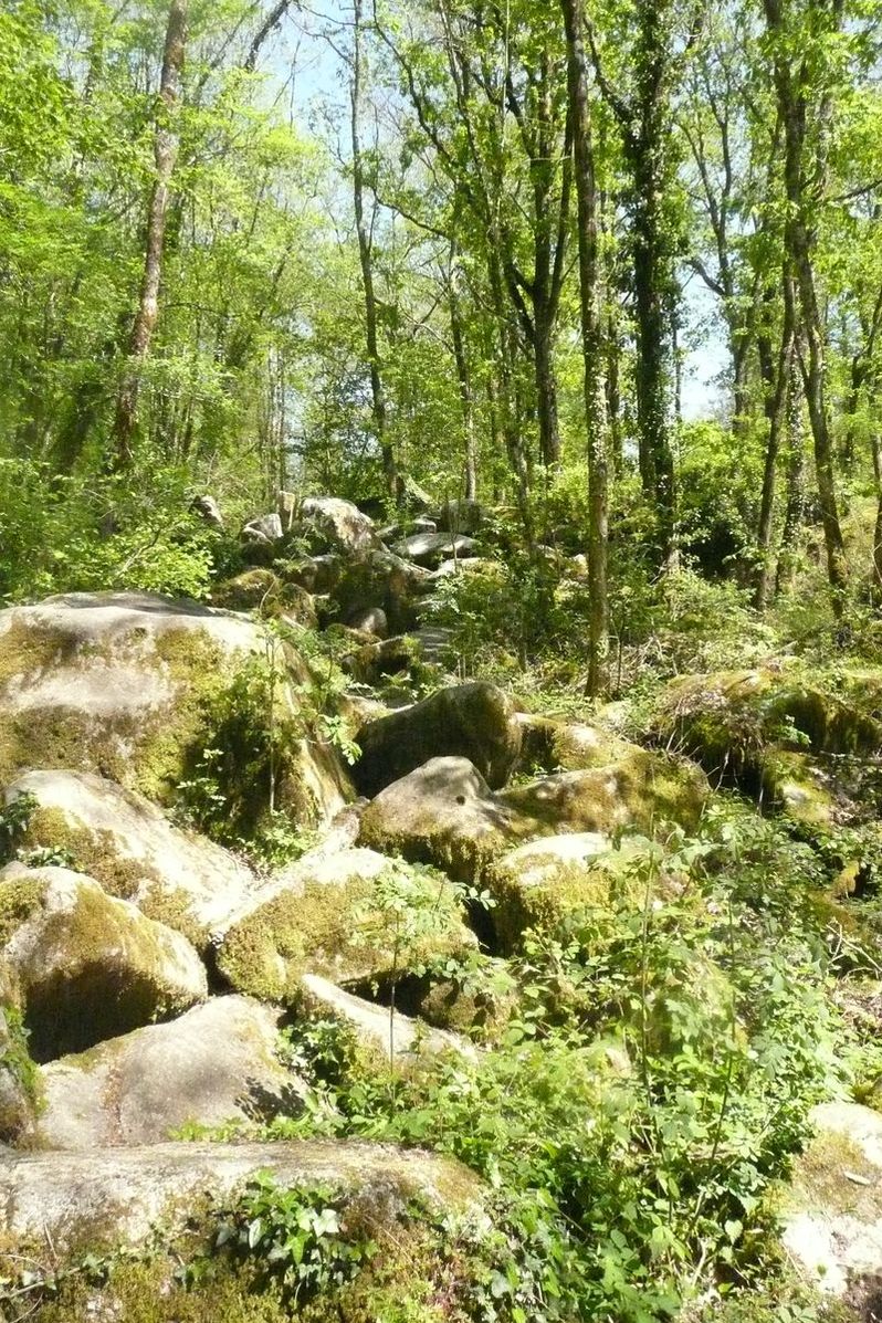 La Grande Boucle du Parc : Etape 3: De Nontron à Champniers Reilhac