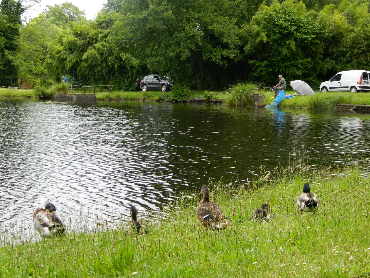 Etang classé de Sainte-Foy - photo 2