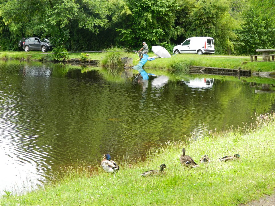 Etang de pêche de Sainte Foy - photo 2