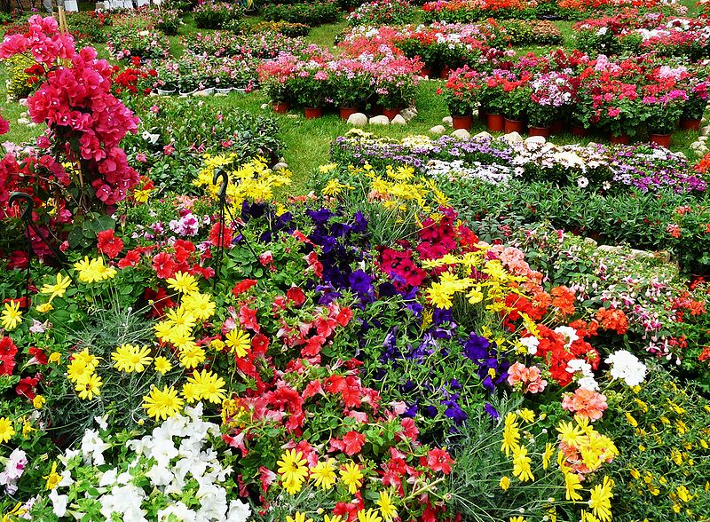 Saint-Jean-de-Cole en écomobilité - un village médiéval à portée de roue