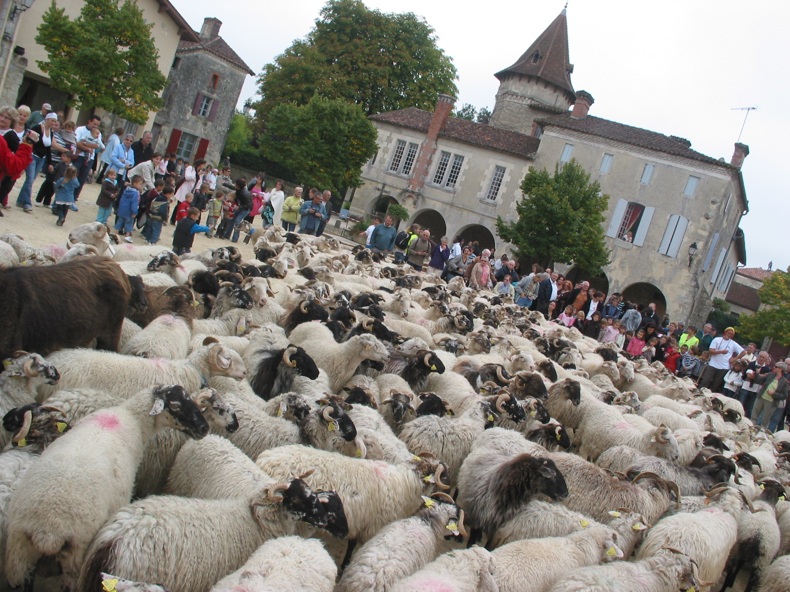Bastide de Saint-Justin - photo 5