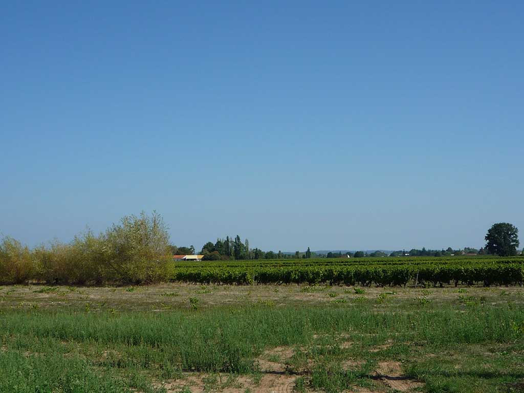St Laurent des Vignes - Lamonzie Saint Martin - Gardonne, Saint-Laurent-des-Vignes - photo 5
