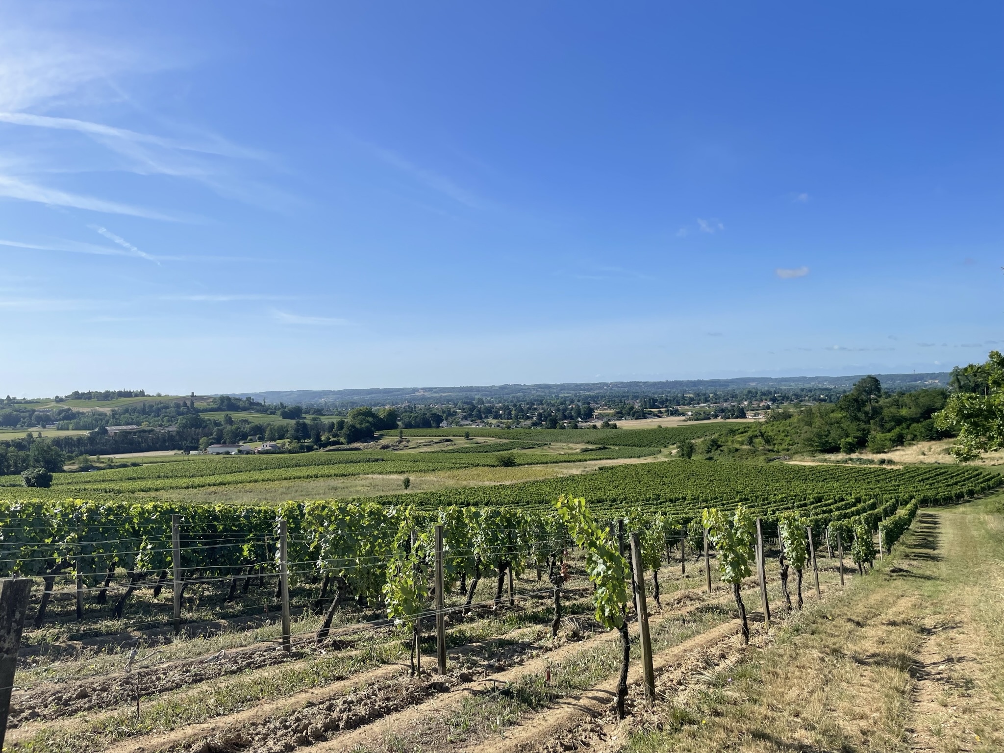 Boucle du vignoble Castillonnais