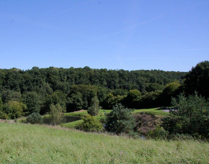Sentier Boucle du Parleur, Saint-Martin-Terressus - photo 3