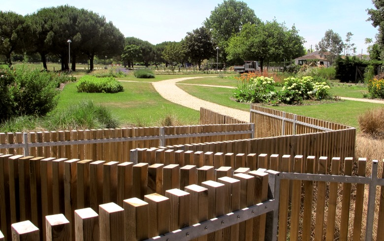 Bords de Jalle de Gajac