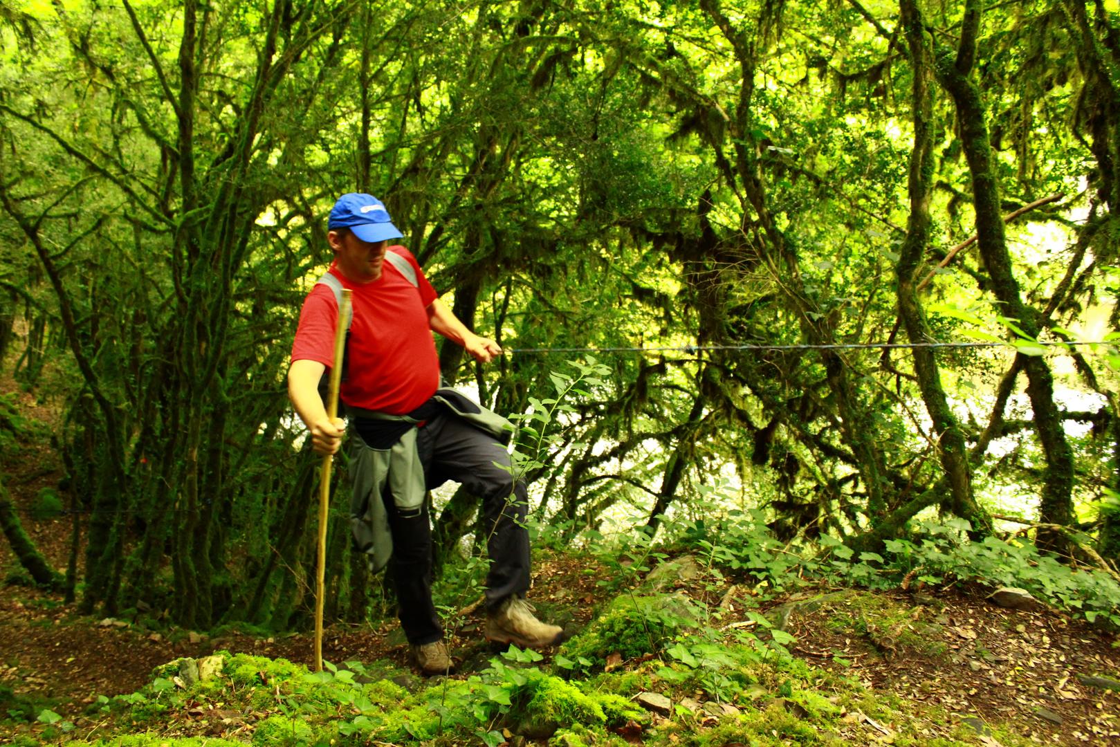 A l'affût de la faune sauvage dans les Gorges de l'Auvézère