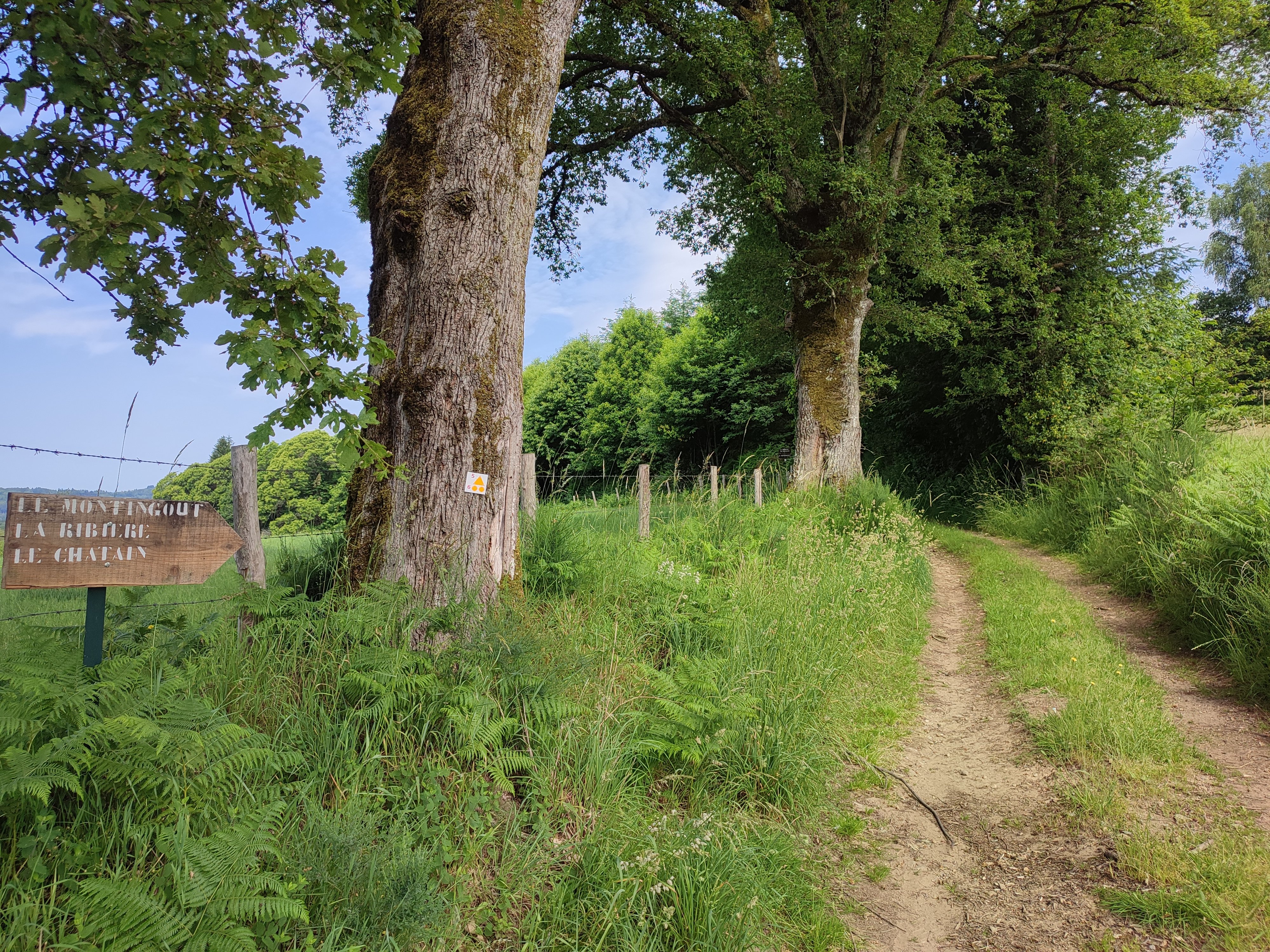 Circuit VTT n°6 Autour des monts d’Auriat, Champnétery - photo 2