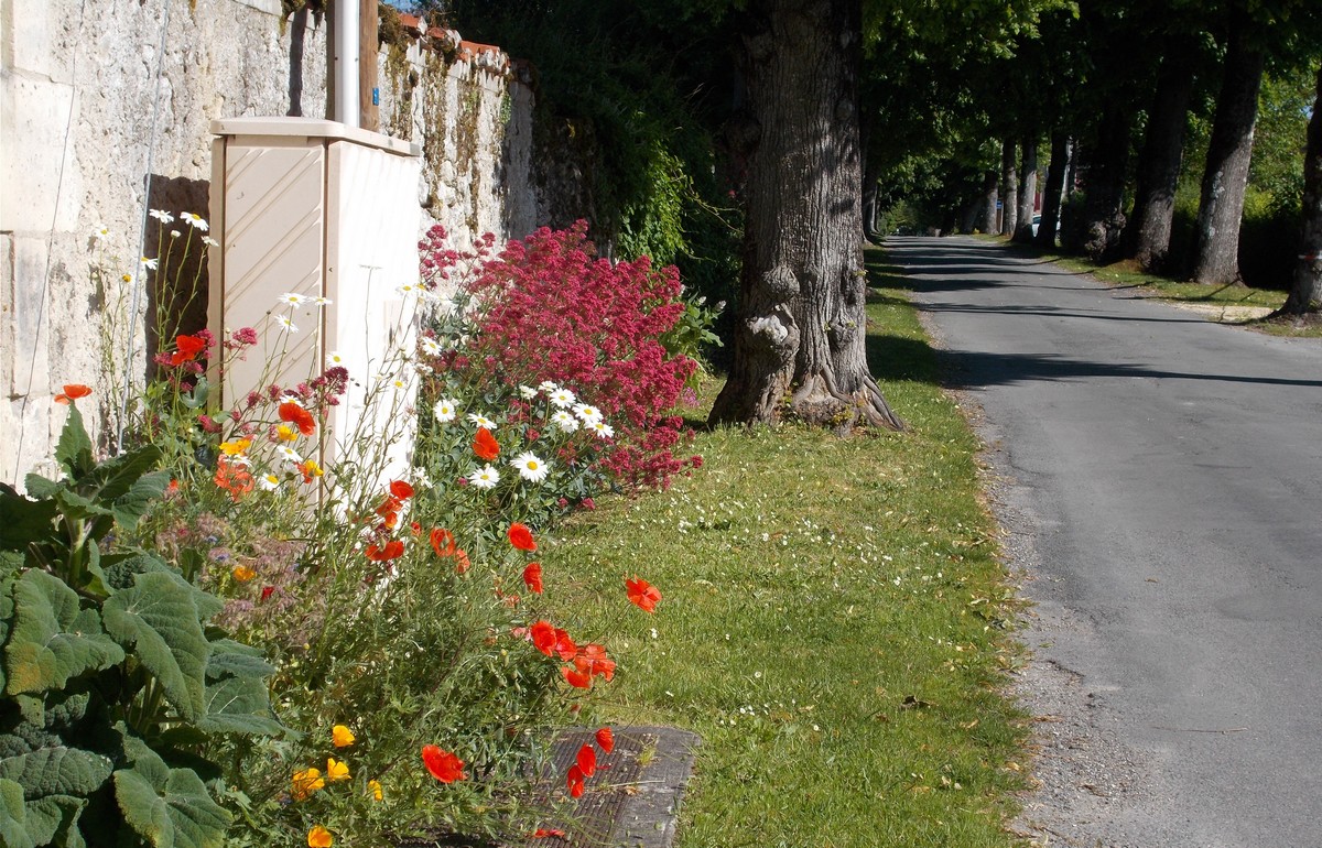 Village de Saint-Paul Lizonne, Saint-Paul-Lizonne - photo 8