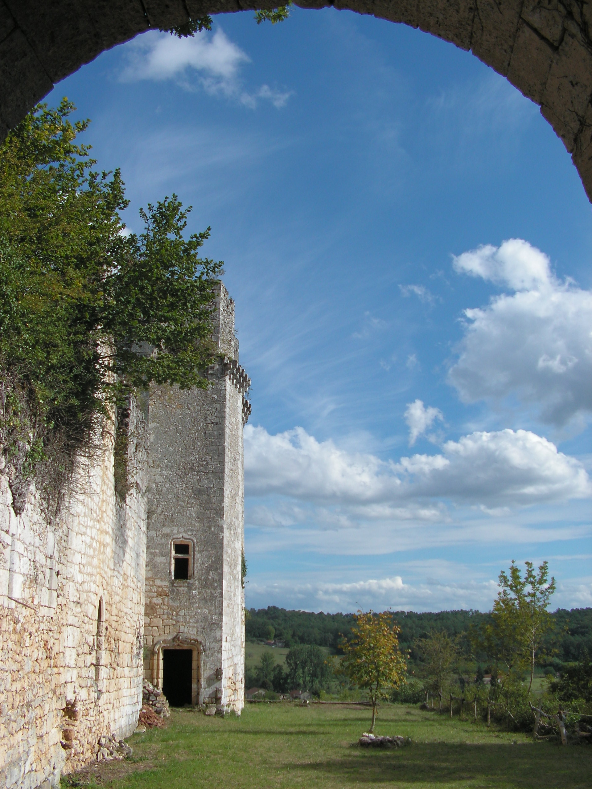 Château de Bruzac, Saint-Pierre-de-Côle - photo 2