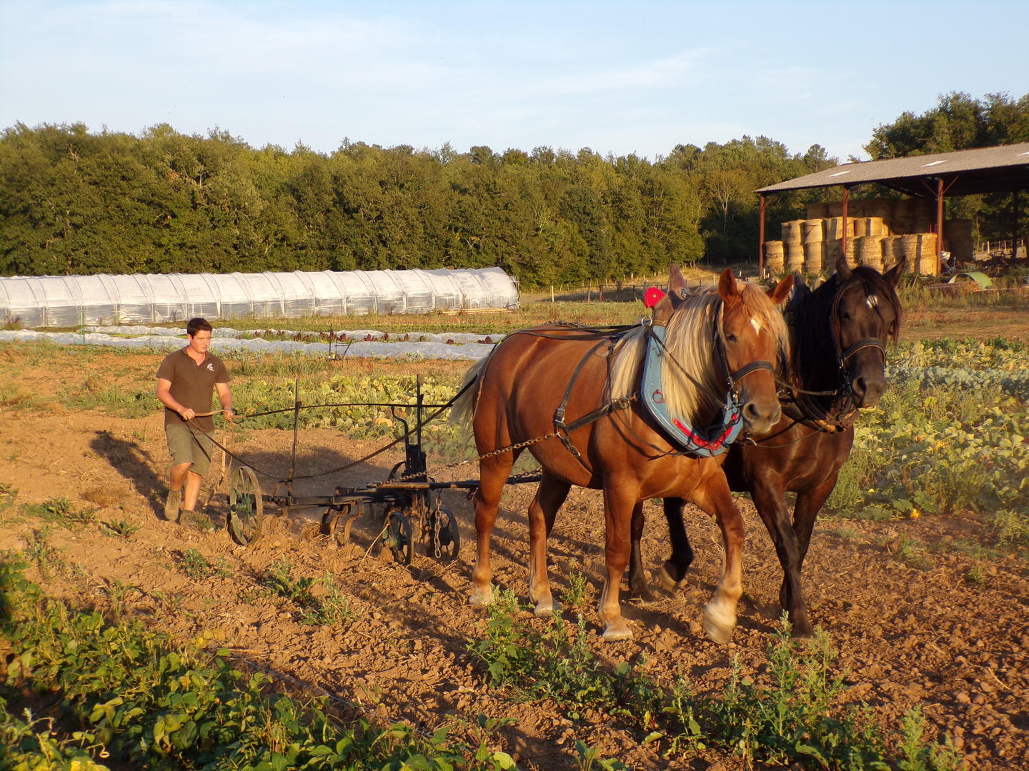 GAEC Les Causses de Cesserou