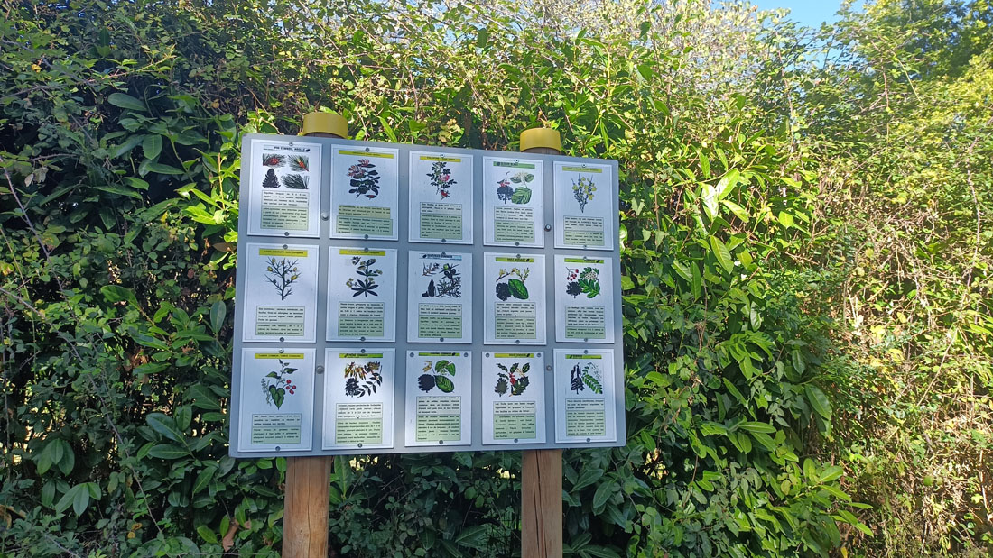 Boucle des Pins, Saint-Sauveur - photo 2