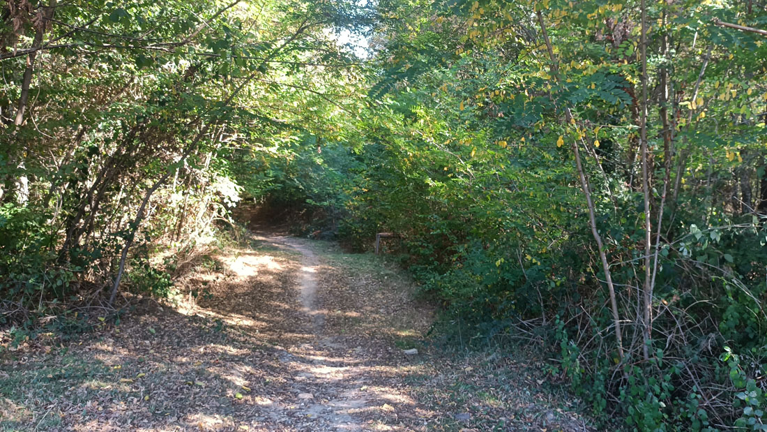 Boucle des chênes, Saint-Sauveur - photo 5