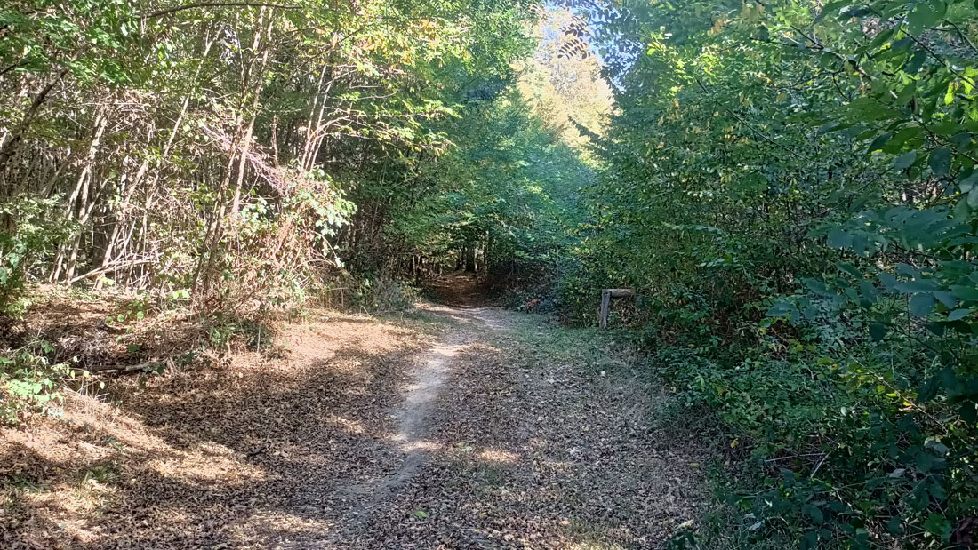 Boucle des Pins, Saint-Sauveur - photo 3