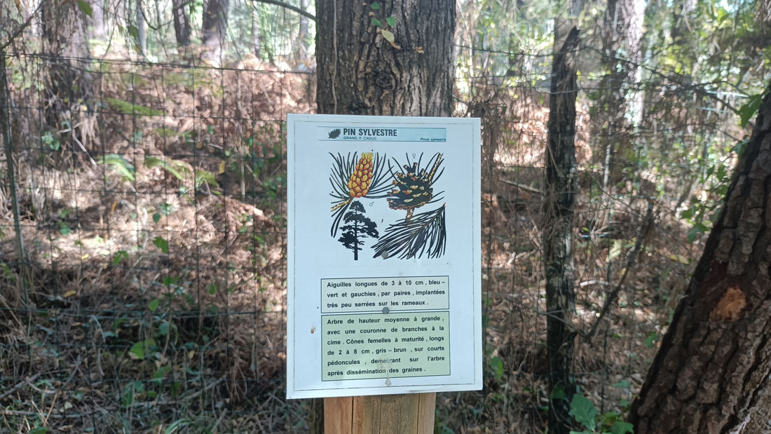 Boucle des chênes, Saint-Sauveur - photo 3