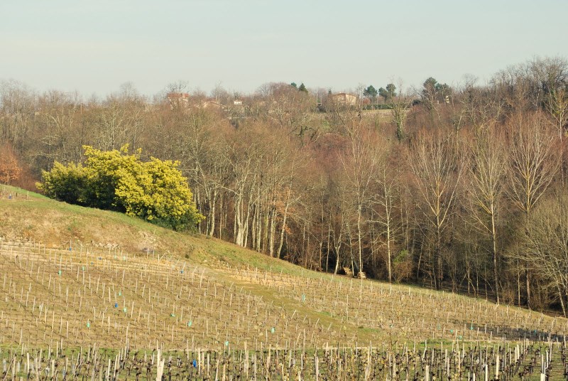 Boucle St Ciers de Canesse et Villeneuve, Saint-Ciers-de-Canesse