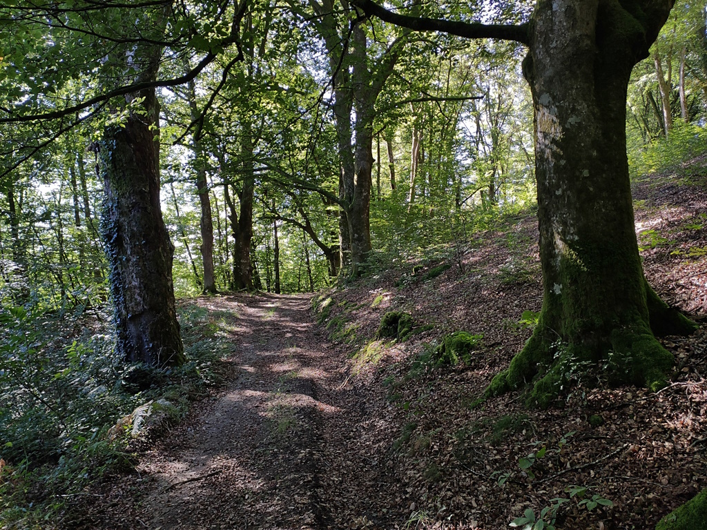 GRP®Monts et Barrages en Limousin - Boucle Entre Combade et Briance - Etape 1 - De Châteauneuf-la-Forêt à Sussac, Châteauneuf-la-Forêt - photo 3