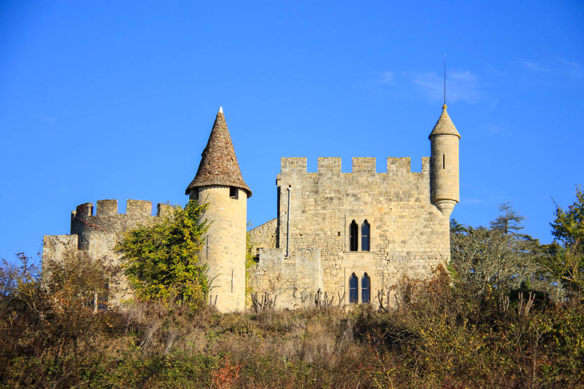 Du Béas à Ste-Catherine, promenade dans la forêt, Barbaste - photo 4