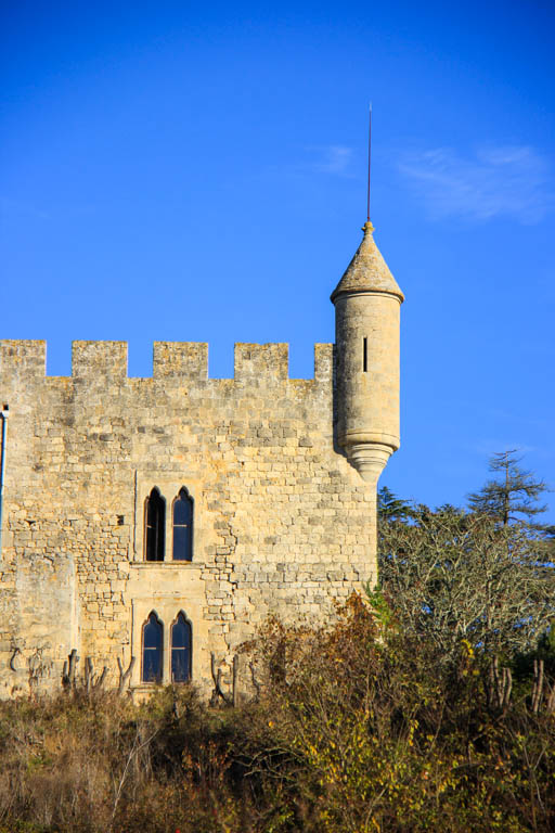 Du Béas à Ste-Catherine, promenade dans la forêt, Barbaste - photo 3