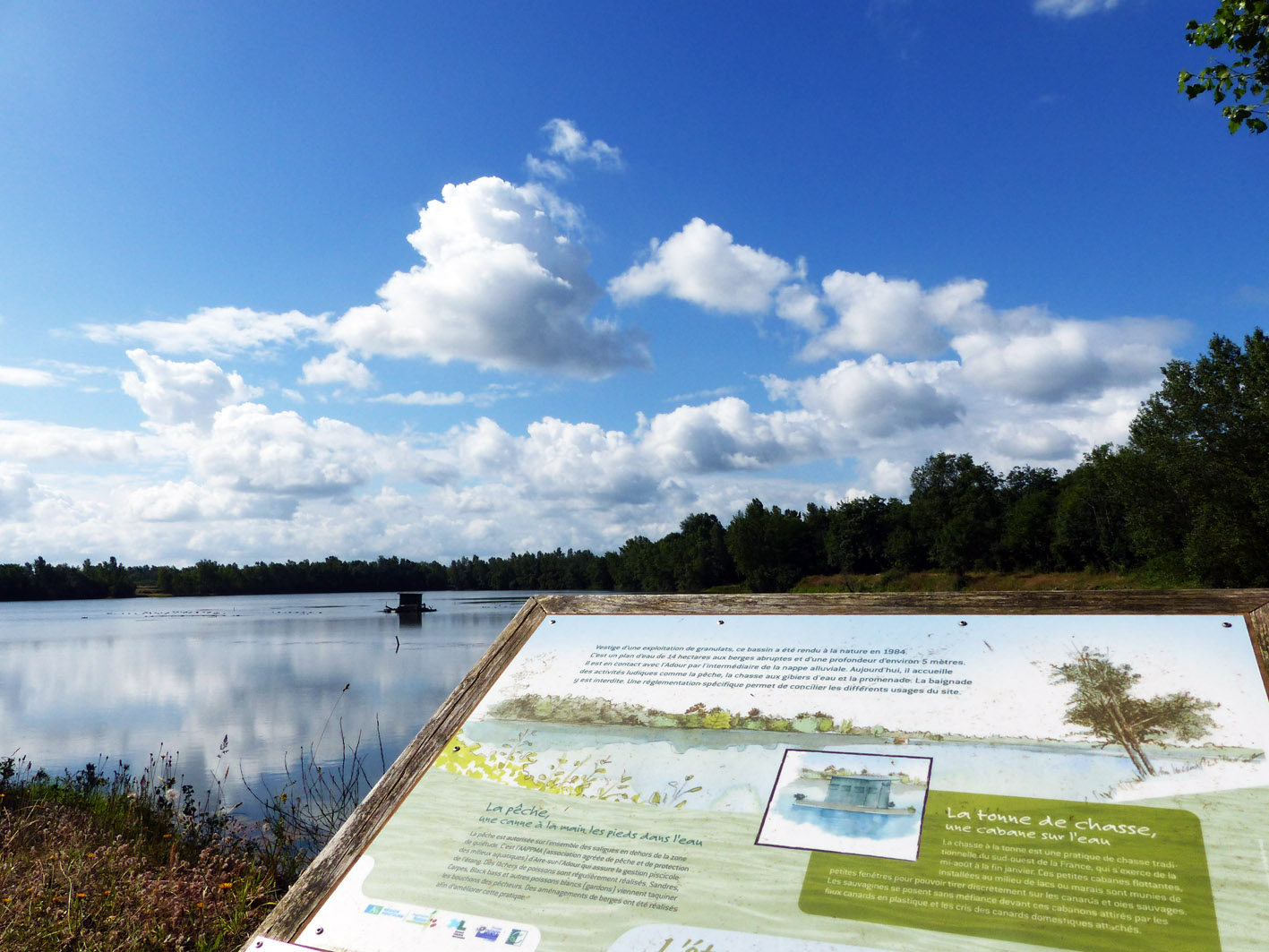 Les Saligues de l'Adour - photo 4